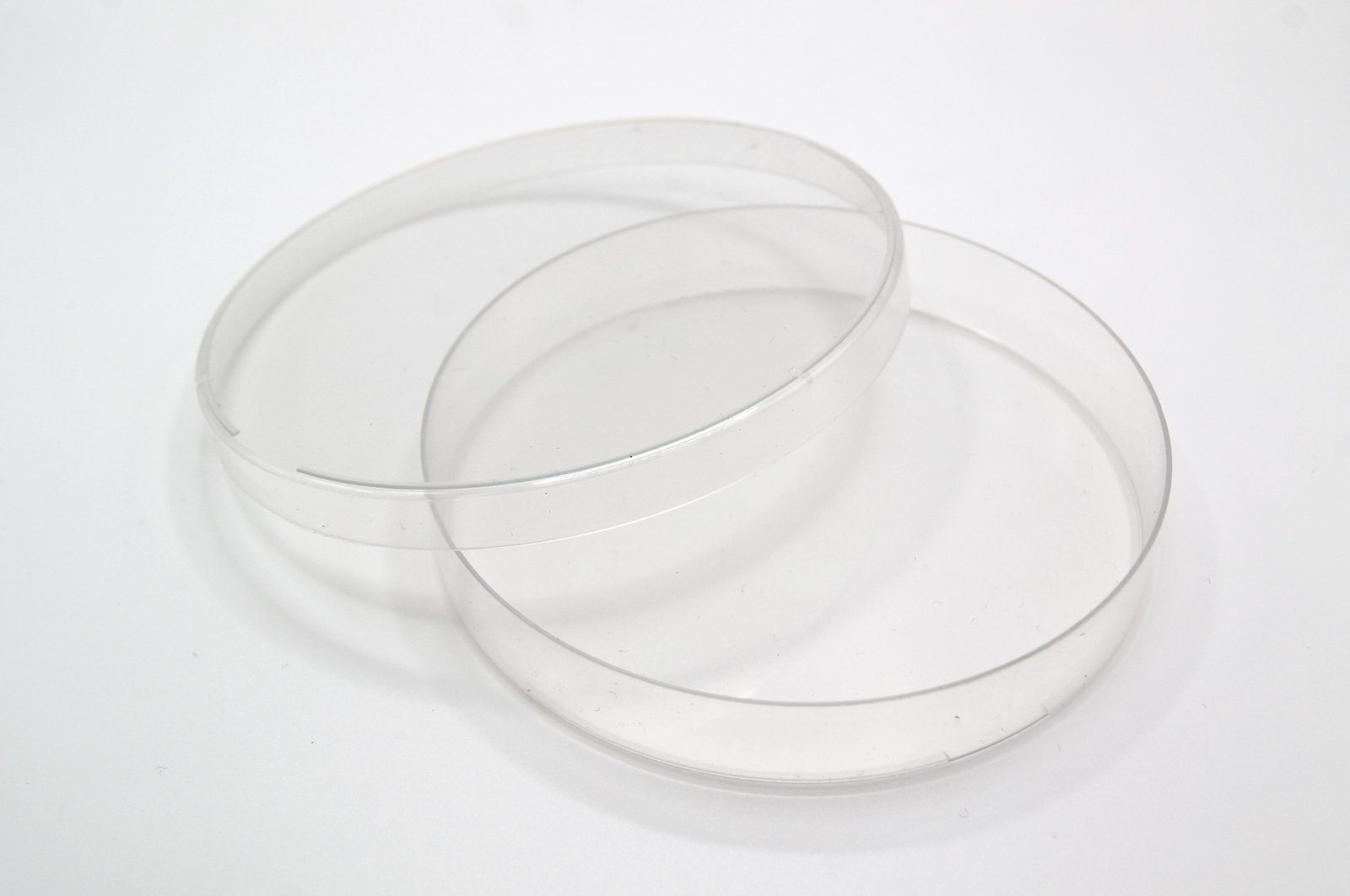 Recycled Petri Dish